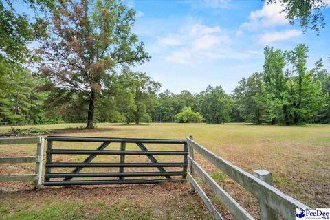 Single Family Residence in Florence SC 3490 Cherrywood Road 33.jpg