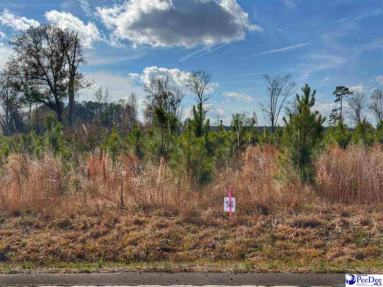 Photo 1 of 2 — Lot 14 E Academy Street Ext., Latta, SC 29565