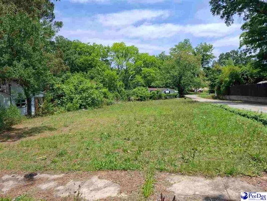 118 LIVINGSTON AVE, BENNETTSVILLE, SC 29512 - Image 20ecefaefeeac119879e63728374c827/1165535706