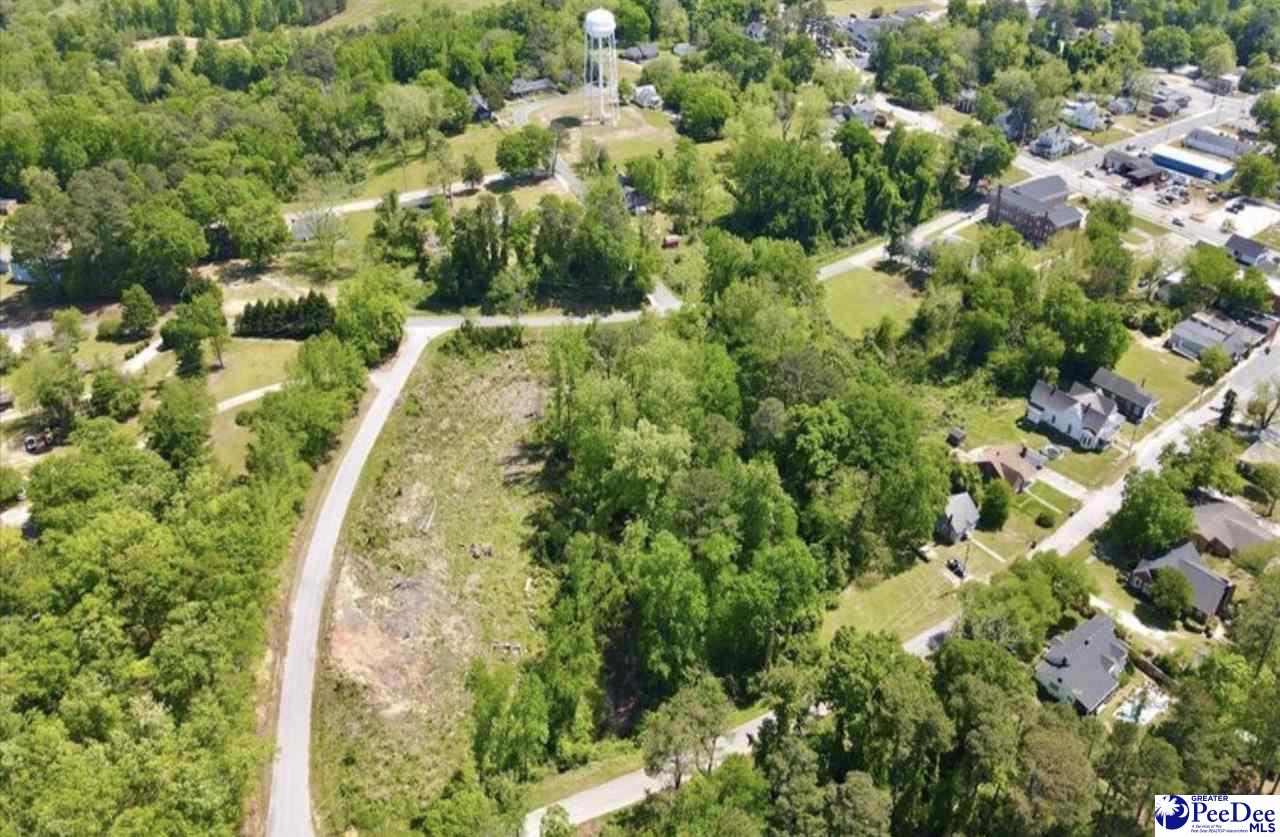Photo 1 of 4 — Lot C & D Trotti Ave, Chesterfield, SC 29709