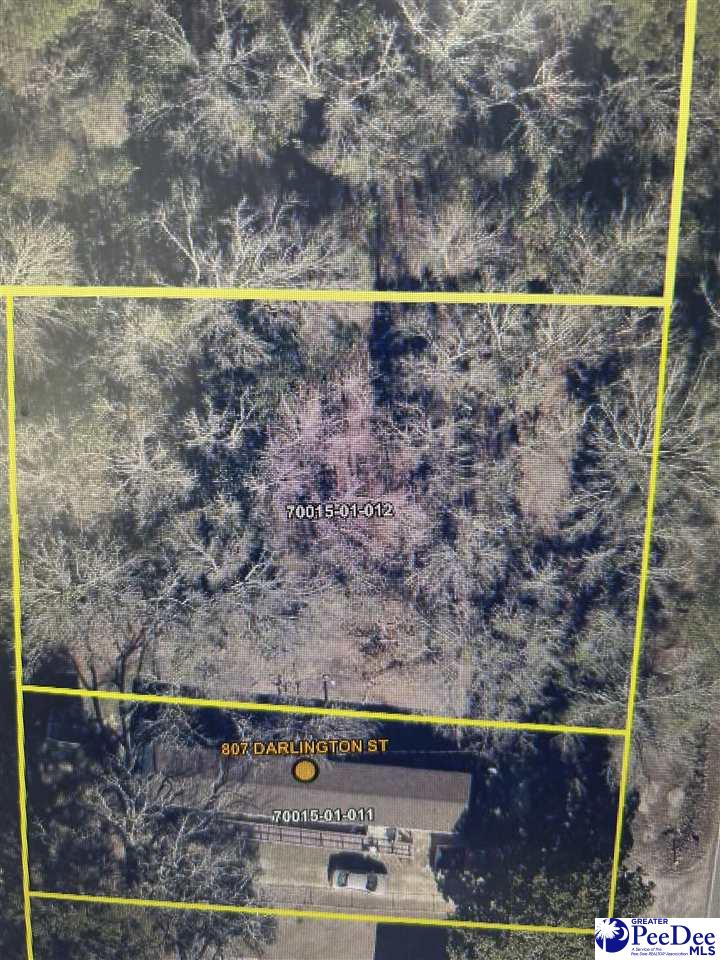 Photo 1 of 1 — 809 Darlington St, Timmonsville, SC 29161