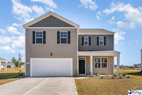 Single Family Residence in Galivants Ferry SC 776 Planters Moon Drive (Galen A Lot 201) Dr.jpg