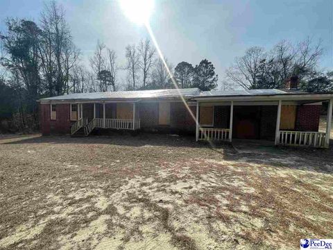 892 James Teal Rd, Chesterfield, SC 29709 - MLS#: 20240656