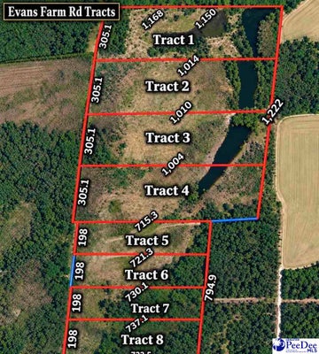 TBD EVANS FARM RD TRACT 5, PAMPLICO, SC 29583 - Image 2d4acbca1146c972b9cb683edd1f3bdf/1028385691