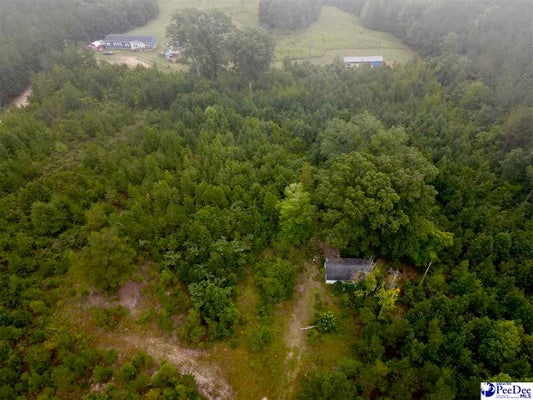 96 PINE TREE LN, CHESTERFIELD, SC 29709 - Image 2e23129ff5bdf0e012545a50d4b372ec/4099480833