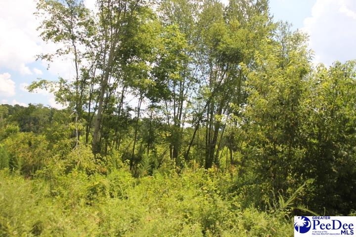 Photo 1 of 1 — 224 Sweeney Rd, Chesterfield, SC 29709