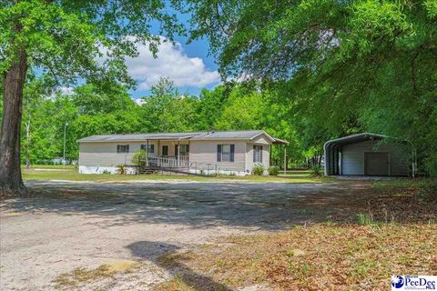 1322 Duck Pond Rd, Florence, SC 29506 - MLS#: 20241581