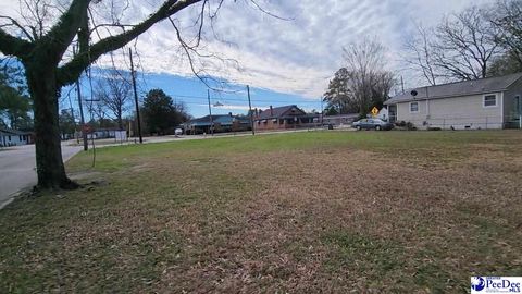 Unimproved Land in Marion SC 207 Liberty Street.jpg