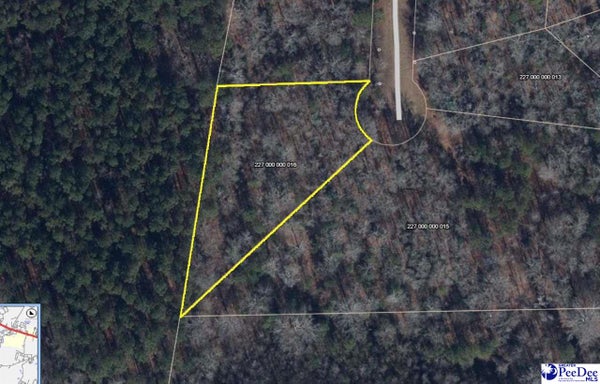 ADDRESS PRIVATE, CHERAW, SC 29520 - Image 36b1bf8ade0558fc096d6df6bbfabacf/2685229692