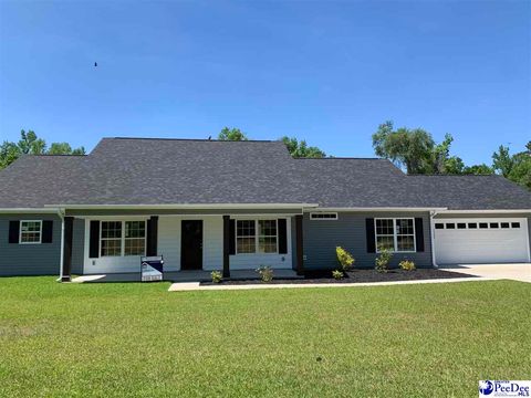 7305 E National Cemetery Road, Florence, SC 29506 - MLS#: 20232362