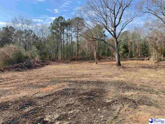 181 ASHLAND RD, HARTSVILLE, SC 29550 - Image 3a2da2d406aa1f6fbcb190c16f39f3b0/2283359421