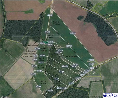 ADDRESS PRIVATE, COWARD, SC 29530 - Image 401ce0d9fa7911fc59a0715cd8bc227b/897105098