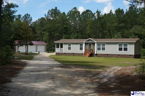 Mobile Home in Nichols SC 4020 Hollow Drive.jpg