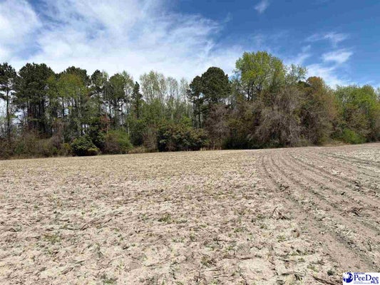 HEUSTESS RD, LITTLE ROCK, SC 29567 - Image 476f2fa35a02ca6f0b217d43c3b12854/2379602563