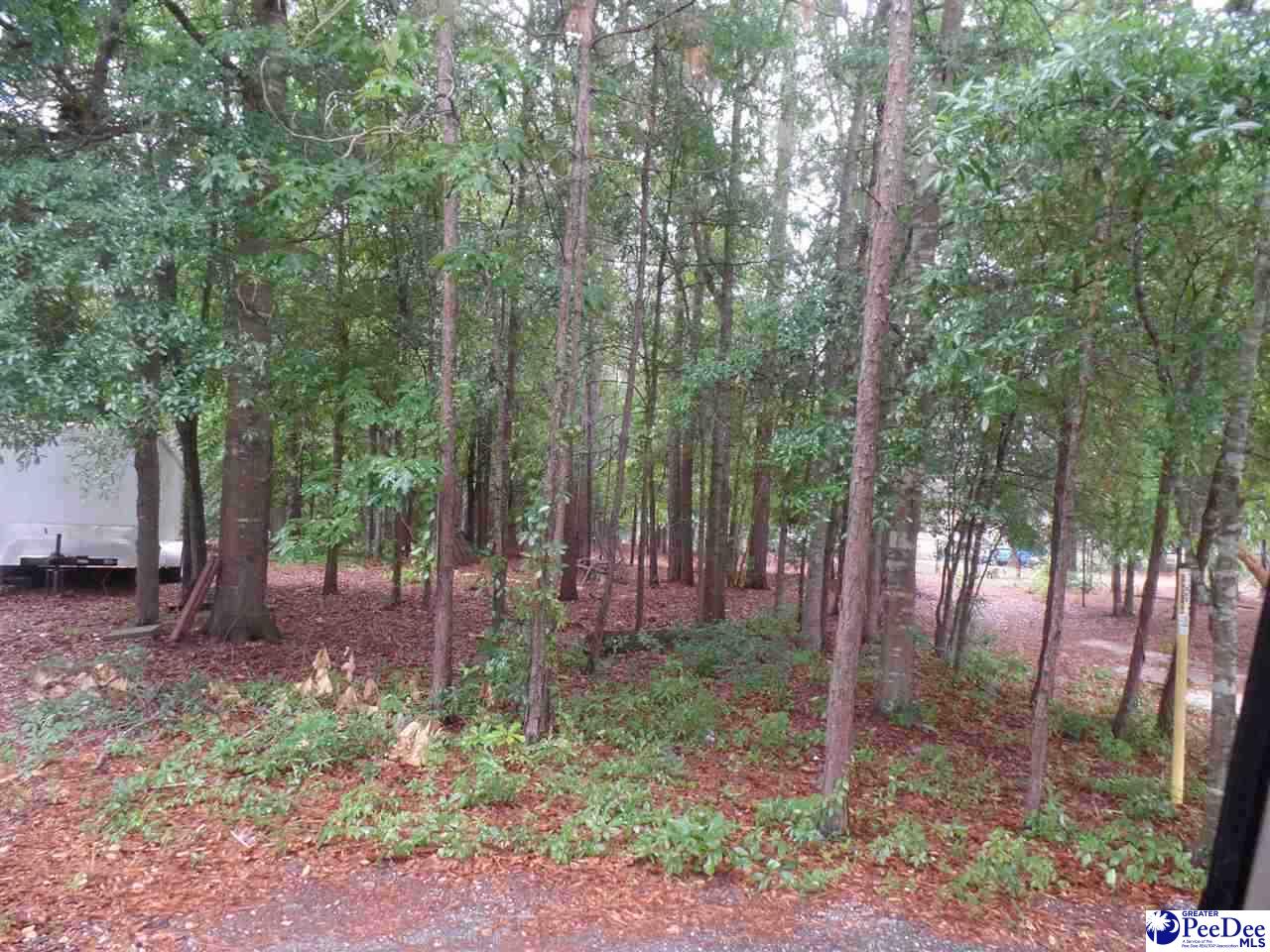 Photo 1 of 1 — Palmetto Dr - Lot 42, Hartsville, SC 29550