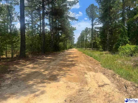 719 RUTH RD, COWARD, SC 29530 - Image 4b7dc22b522a32af9aa4ff12aad009da/51533866