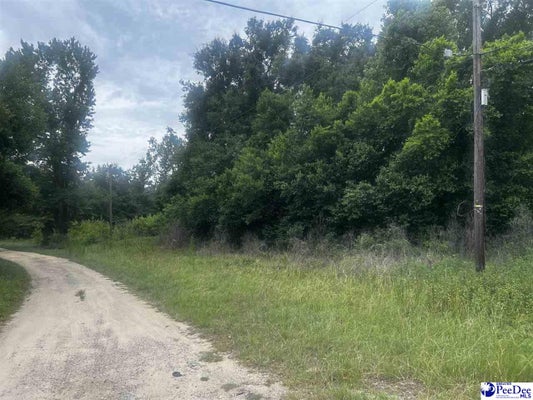 S 22ND AVE, DILLON, SC 29536 - Image 544e02bf0e86ff14c2dee4b48d21e767/1404292974