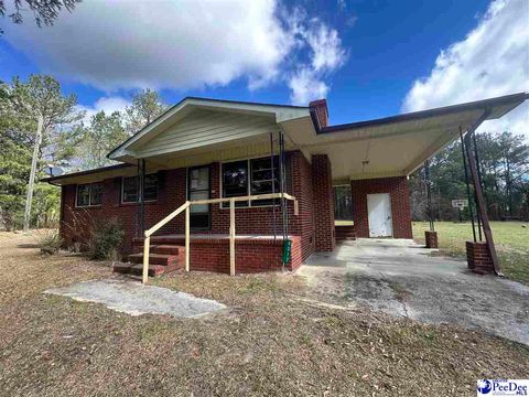 4017 Teals Mill Rd, Chesterfield, SC 29709 - MLS#: 20240913