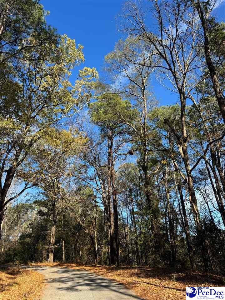 Photo 1 of 1 — TBD Wilson Street, Society Hill, SC 29583