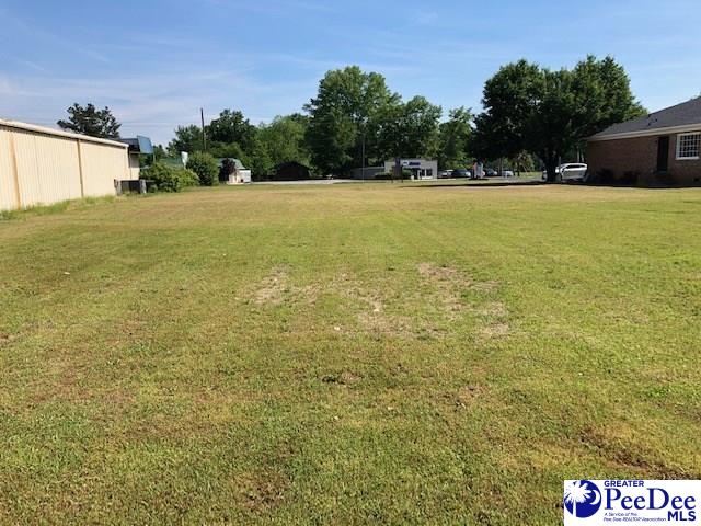 Photo 1 of 2 — Lot 8 Chesterfield HWY, Cheraw, SC 29520