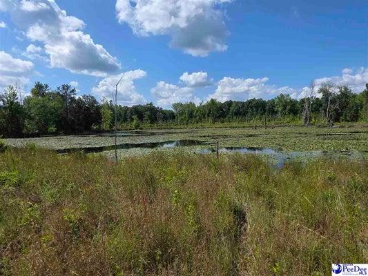 13 HILLIAN EDWARDS RD, CHERAW, SC 29520 - Image 5e3dbc62e00651cbdaebca3efc18f448/4197030848