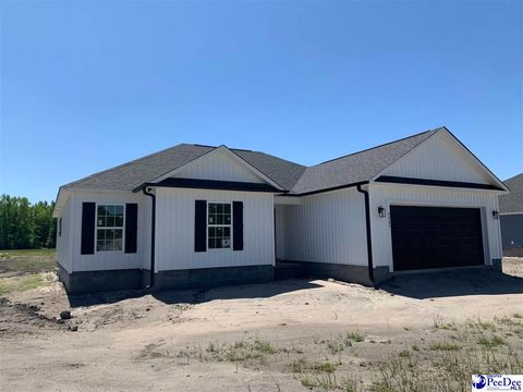 4982 E National Cemetery Road, Florence, SC 29506 - MLS#: 20250344