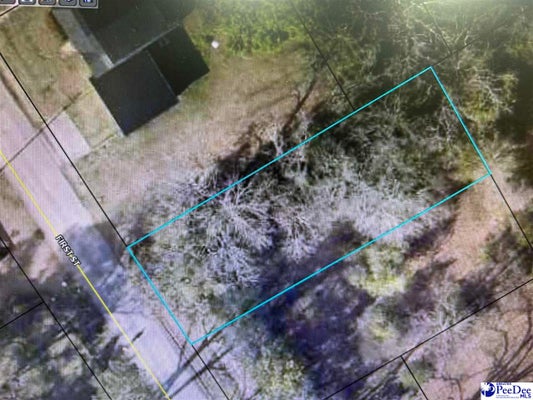 305 1ST ST, DARLINGTON, SC 29532 - Image 69fffef9b7a91ca17fb31c8ec3dfa544/193368068