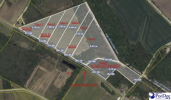 BORKOWITZ RD, SCRANTON, SC 29591 - Image 6fe4d49da17b4fc8bb7e7450ab453f4e/838458086