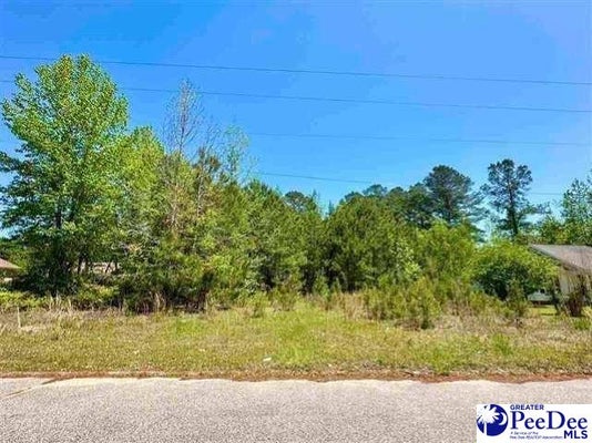 TARA DR, FLORENCE, SC 29505 - Image 7b389e46b8eeedd30b61ec0cce6b5ddd/1052965478
