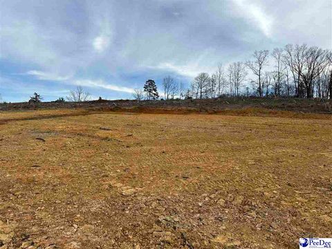  in Chesterfield SC 2.50 Ac Tract Green St.jpg