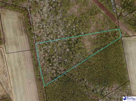 TBD JENERETTE PL, HEMINGWAY, SC 29554 - Image 8531186983d327caa2aef287ee704db7/1003336610