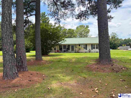 222 HICKS RD, COWARD, SC 29530 - Image 8544ae5ad50e0b0d477e8fa7ce99d0d8/949482466