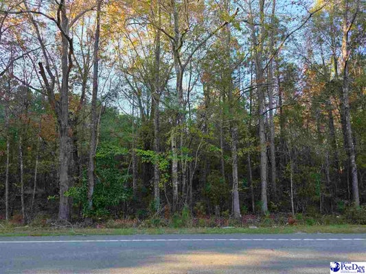 1317 MAJOR DR, DARLINGTON, SC 29540 - Image 85b843ecc4e2412a803fdb1ac7e8593b/4274126491