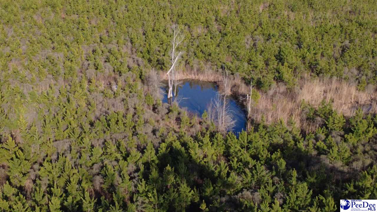 Photo 1 of 18 — 0 (TBD) Bay Catfish Rd., Latta, SC 29565