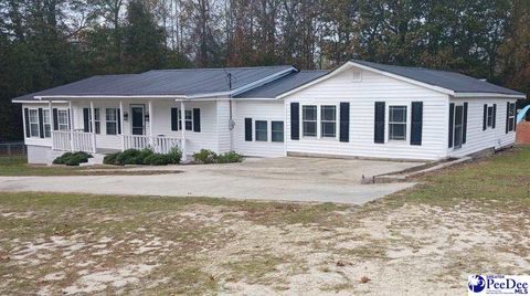 3569 Delta Heights Road, Wallace, SC 29596 - MLS#: 20244249