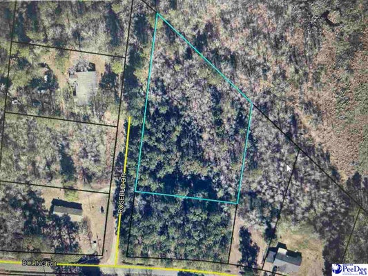 1119 ROSEBUD DR, PAMPLICO, SC 29583 - Image 8b2efa43819367889cfe0261eefb5bbf/1878442714