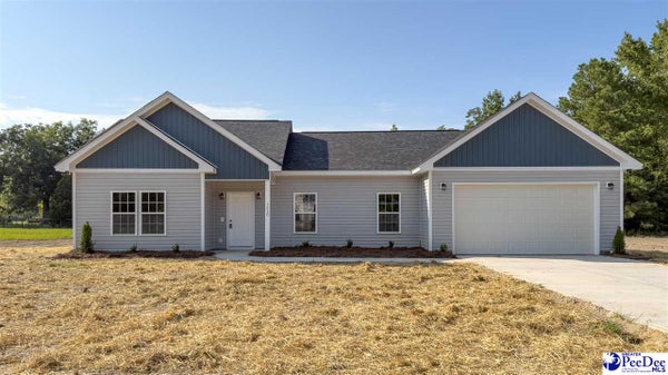 1310 E EFFINGHAM RD, EFFINGHAM, SC 29541 - Image 8bfb1b77e1b00a73788080ea49517281/716282701