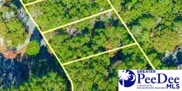 Photo 1 of 7 — Lot 57 Country Club Road, Darlington, SC 29532