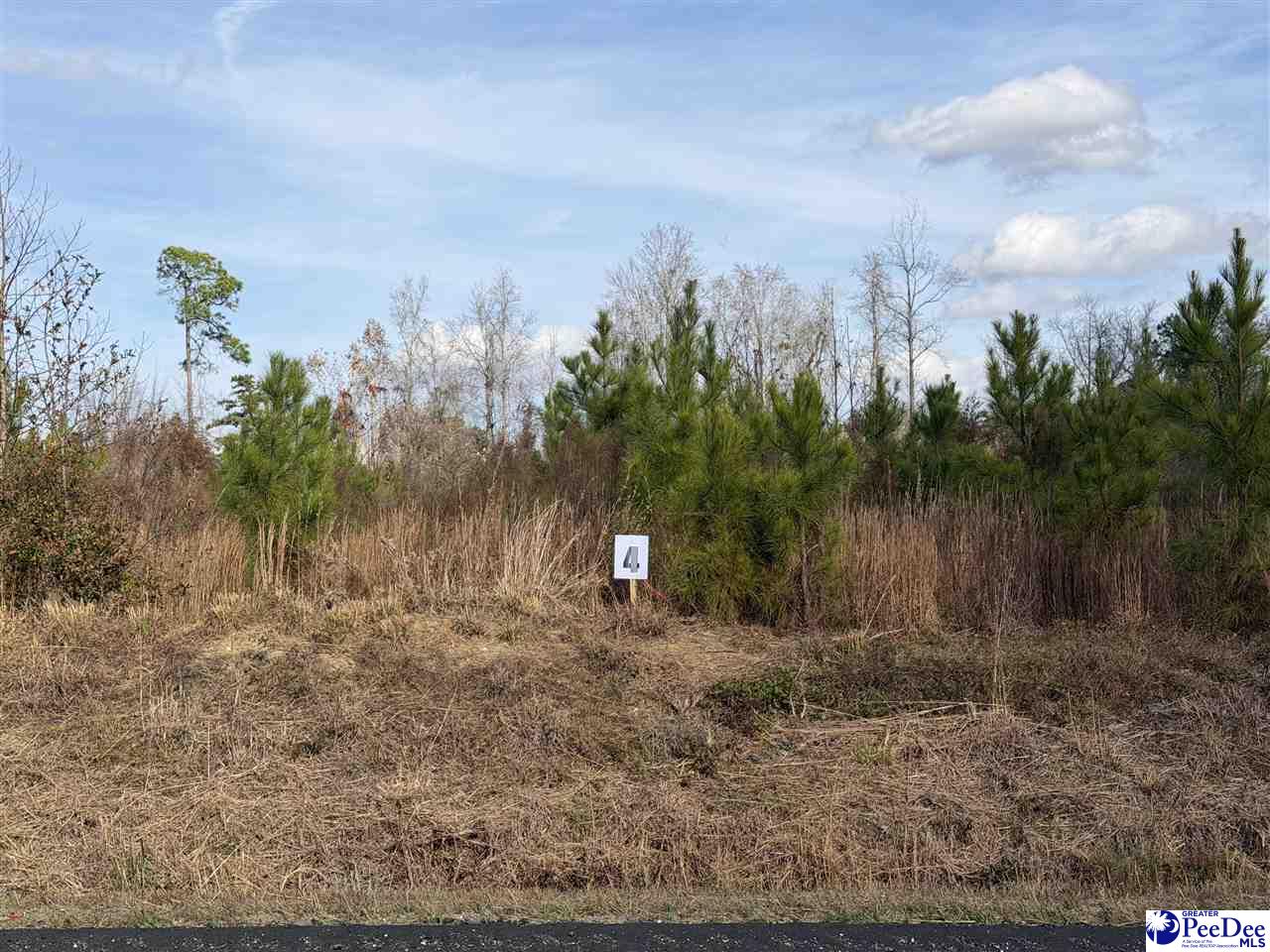 Photo 1 of 2 — Lot 4 E Academy Street Ext., Latta, SC 29565