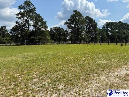 WINERY RD, PATRICK, SC 29584 - Image 960e45943b2ae1dbbccd2962dbcb5671/4220958276