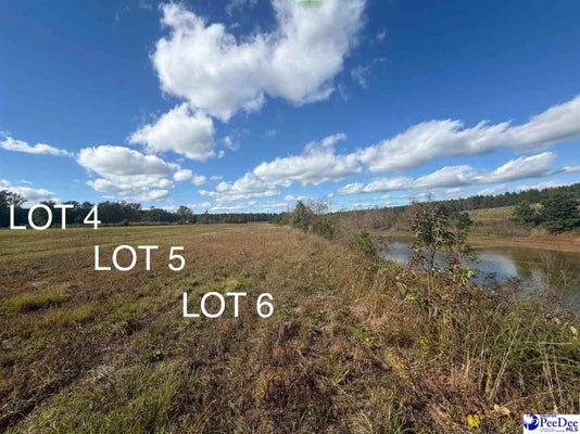 MALLORY BEACH RD, LATTA, SC 29565 - Image 96568fca1615ac7b03cace2d23b5b02e/3769837151