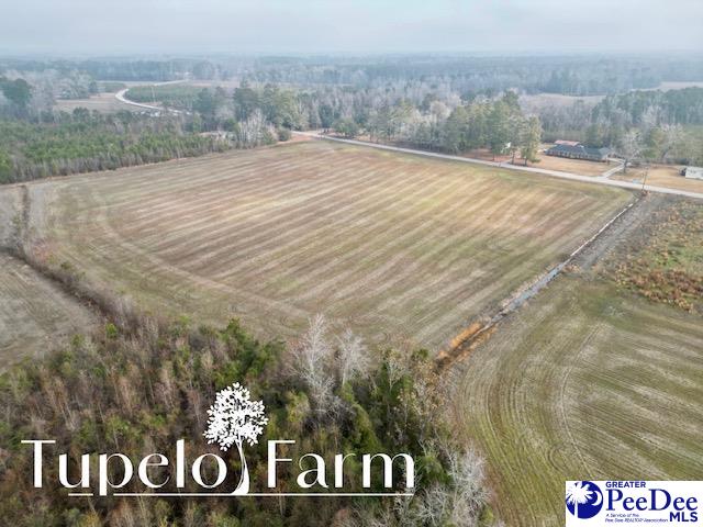 Photo 1 of 6 — TBD W Lynhurst Rd, Lot 7, Pamplico, SC 29583
