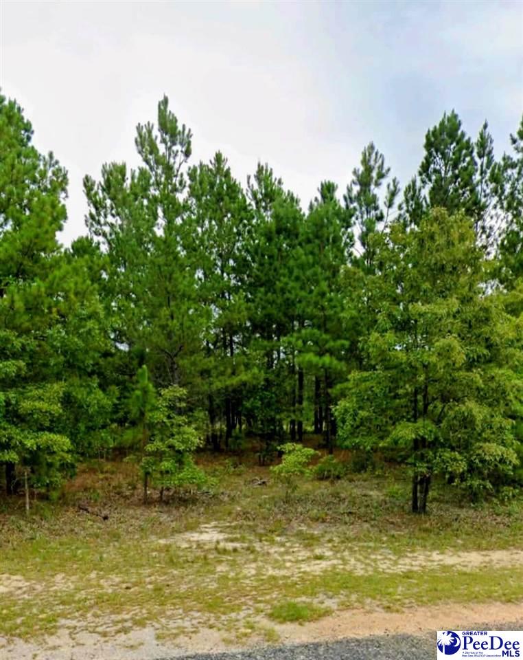Photo 1 of 3 — Lot 24 S Timberlake Ln, Hartsville, SC 29550