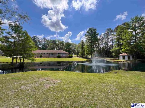 436 Country Club Drive, Johnsonville, SC 29555 - MLS#: 20241679