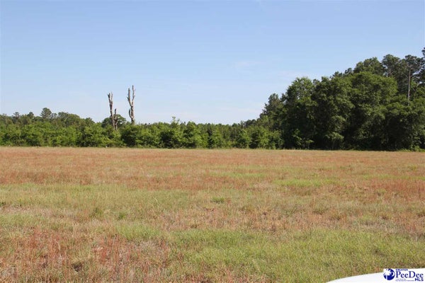 TBD GALLOWAYTOWN ROAD, HARTSVILLE, SC 29550 - Image b88d3eac162b639d2b71f8a3af0a9d02/3380254200