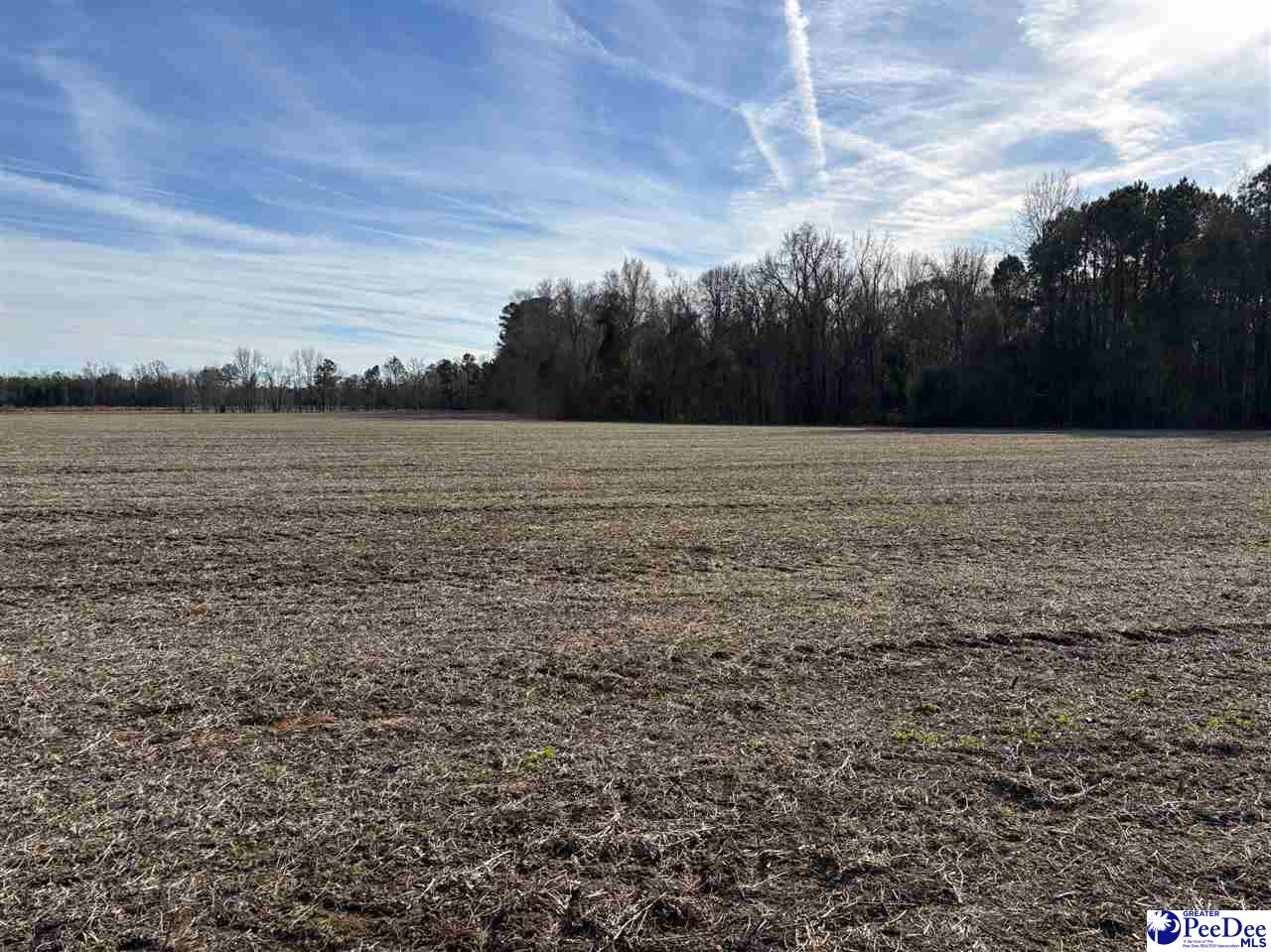 Photo 1 of 2 — Tbd Indigo landing rd Lot 4, Scranton, SC 29591