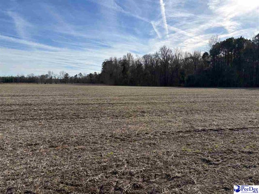 ADDRESS PRIVATE, SCRANTON, SC 29591 - Image b903b7fc7b6ea2d332e351ea160fe6bb/1004338303