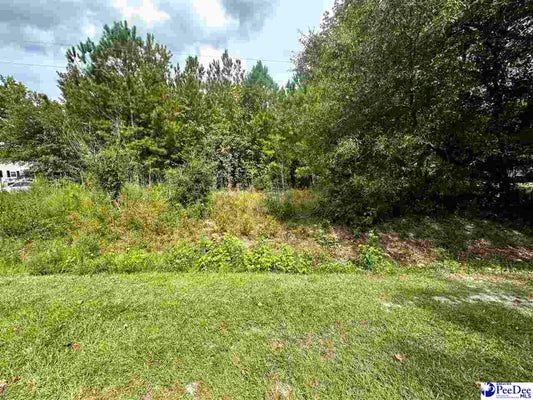 WILLOWTREE RD, DARLINGTON, SC 29540 - Image bcaa00aa5077962093eb6ce10a8d68f1/2591648902