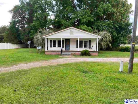 Single Family Residence in Johnsonville SC 271 Willow Pond Rd.jpg