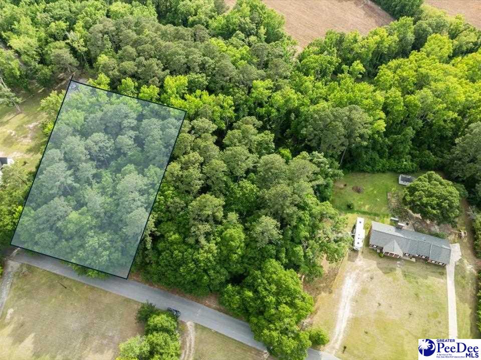Photo 1 of 9 — Lot#2 Hickory Grove, Florence, SC 29501